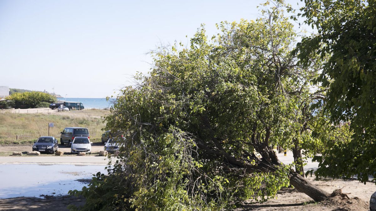 Els efectes del temporal encara són visibles a molts indrets de Tarragona