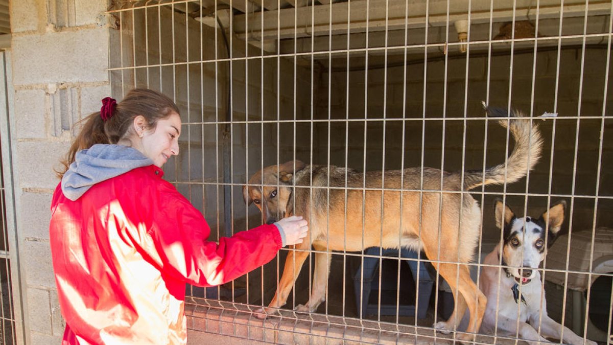 El Refugi Baix Camp busca una nova finca per poder «continuar creixent»