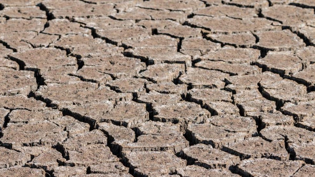 La URV coordina un projecte europeu sobre el canvi climàtic