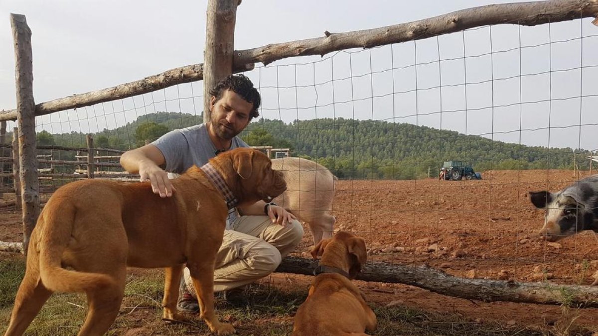 El primer judici en què una mascota deixa de ser considerada «cosa», a Falset