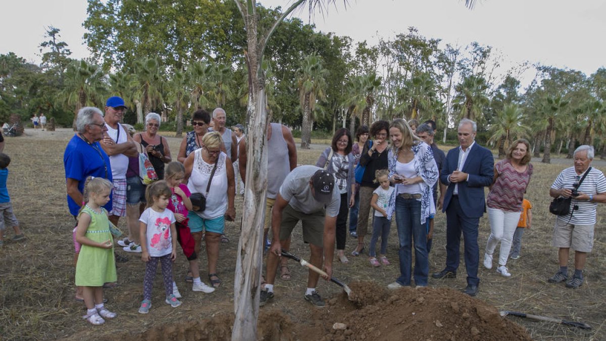 El Parc Samà obre portes per donar el tret de sortida a un nou laberint