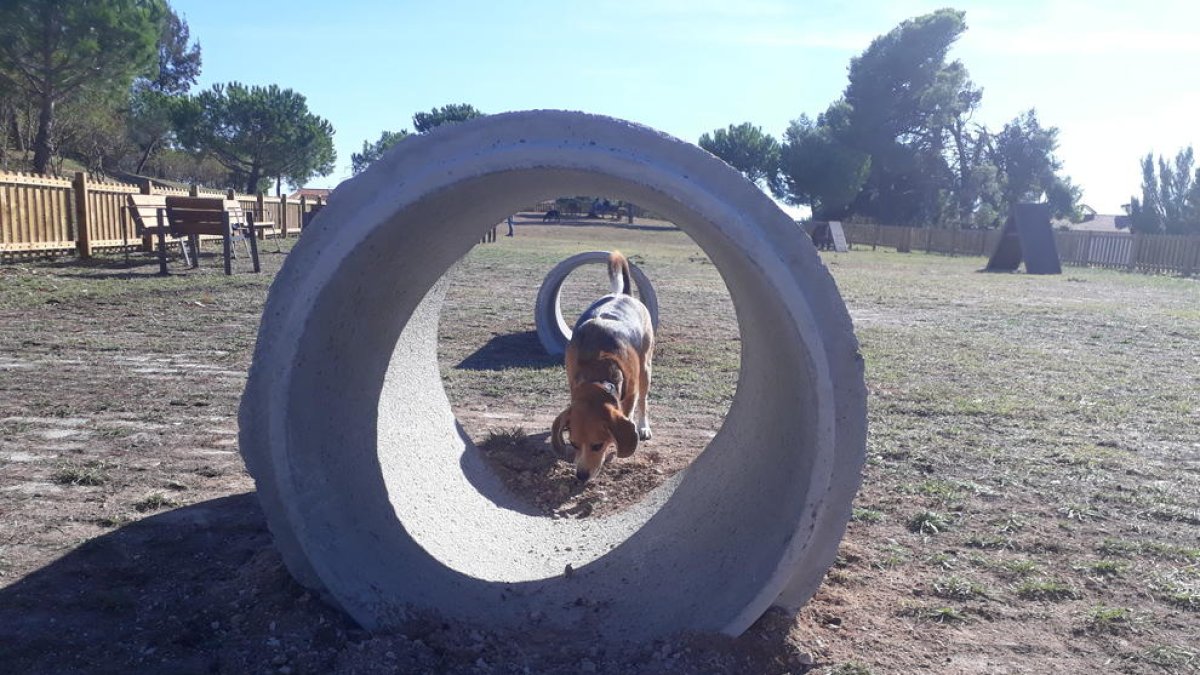 Valls estrena su primer parque canino