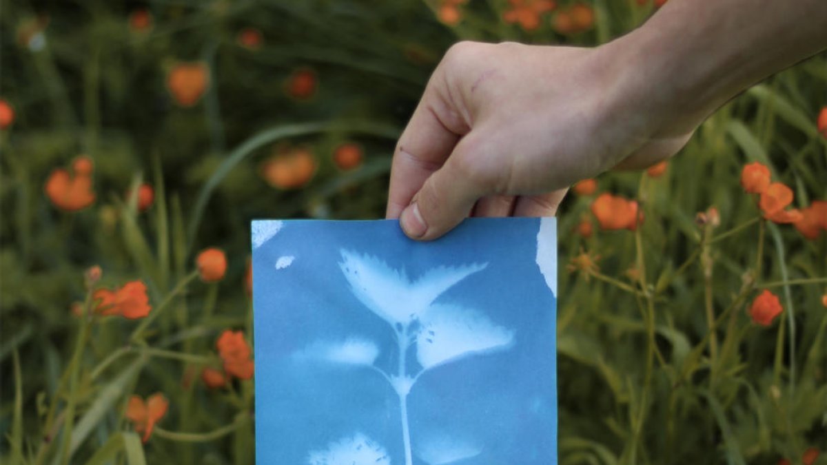 El festival ACEQUIA 2017 ya tiene nueva imagen