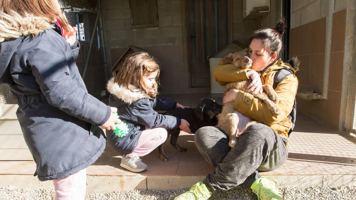 El Refugi Baix Camp fa una crida a voluntaris i cases d'acollida