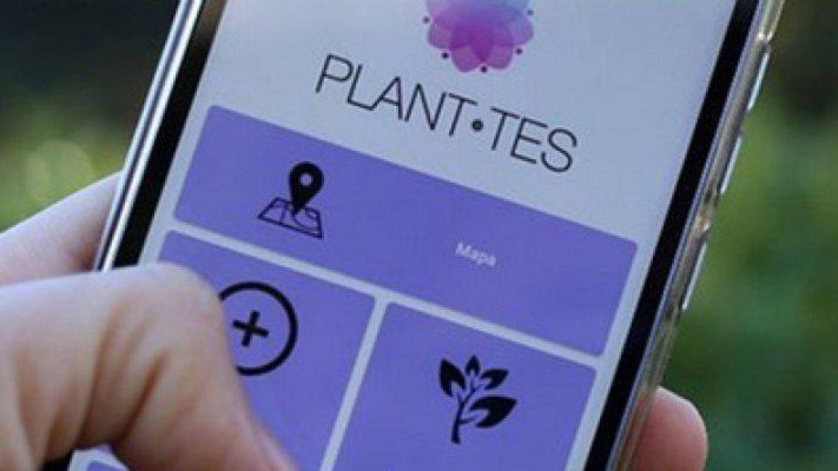 Crean una aplicación colaborativa por alerta de la presencia de plantas que provocan alèrgia en las calles