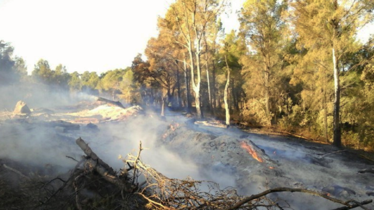 Los Bomberos siguen remojando una pila de troncos que quema desde ayer a Fontscaldes