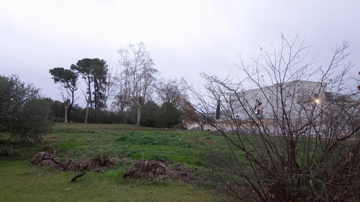 Taller Baix Camp renuncia a crear un nou centre i creixerà a Mas Batlle