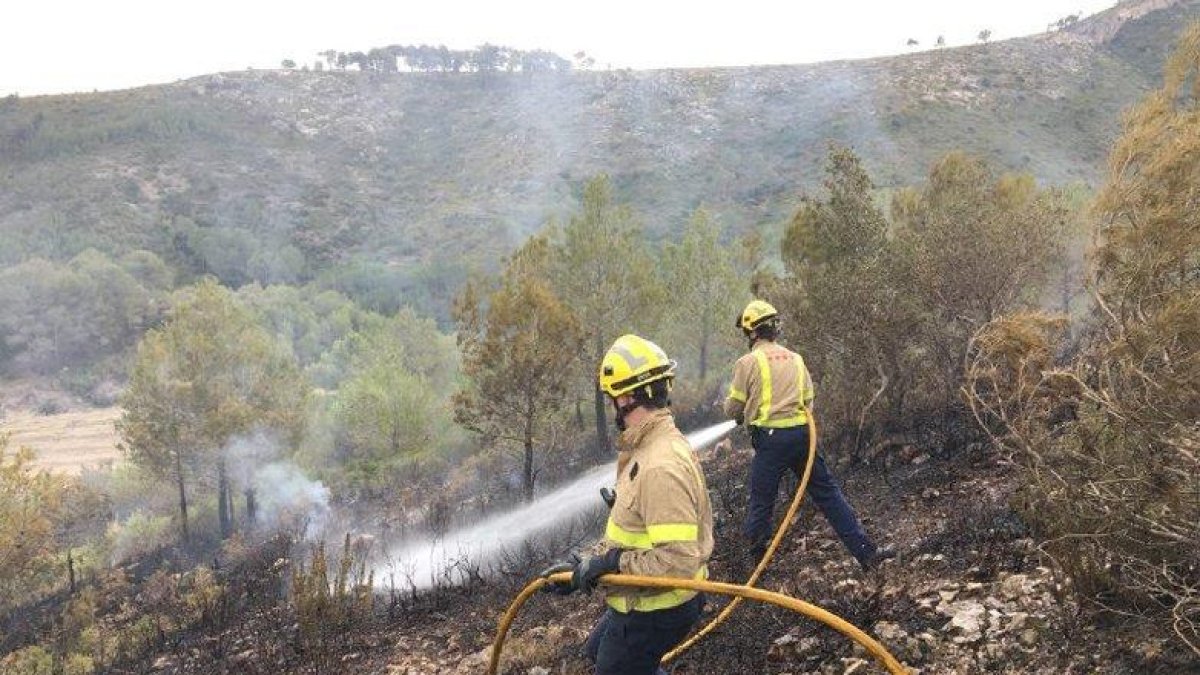 Un incendi crema 3.500 metres quadrats de vegetació a Rasquera