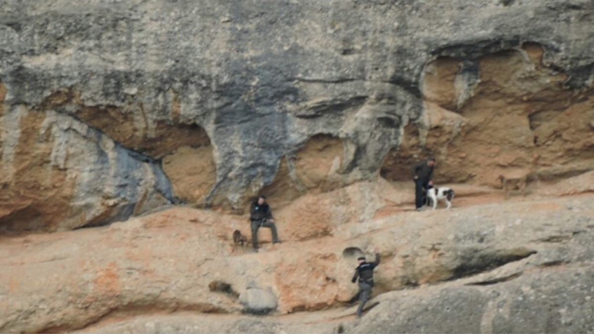 Rescaten tres gossos d'un cingle a Benissanet