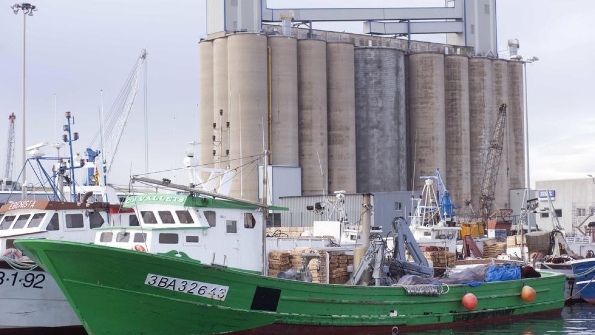La pesca de la llum viu el seu pitjor any i el 2018 perdrà dues barques