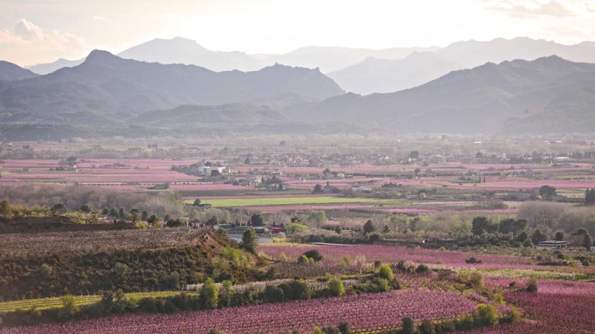 La Ribera de Ebro reivindica el rosa