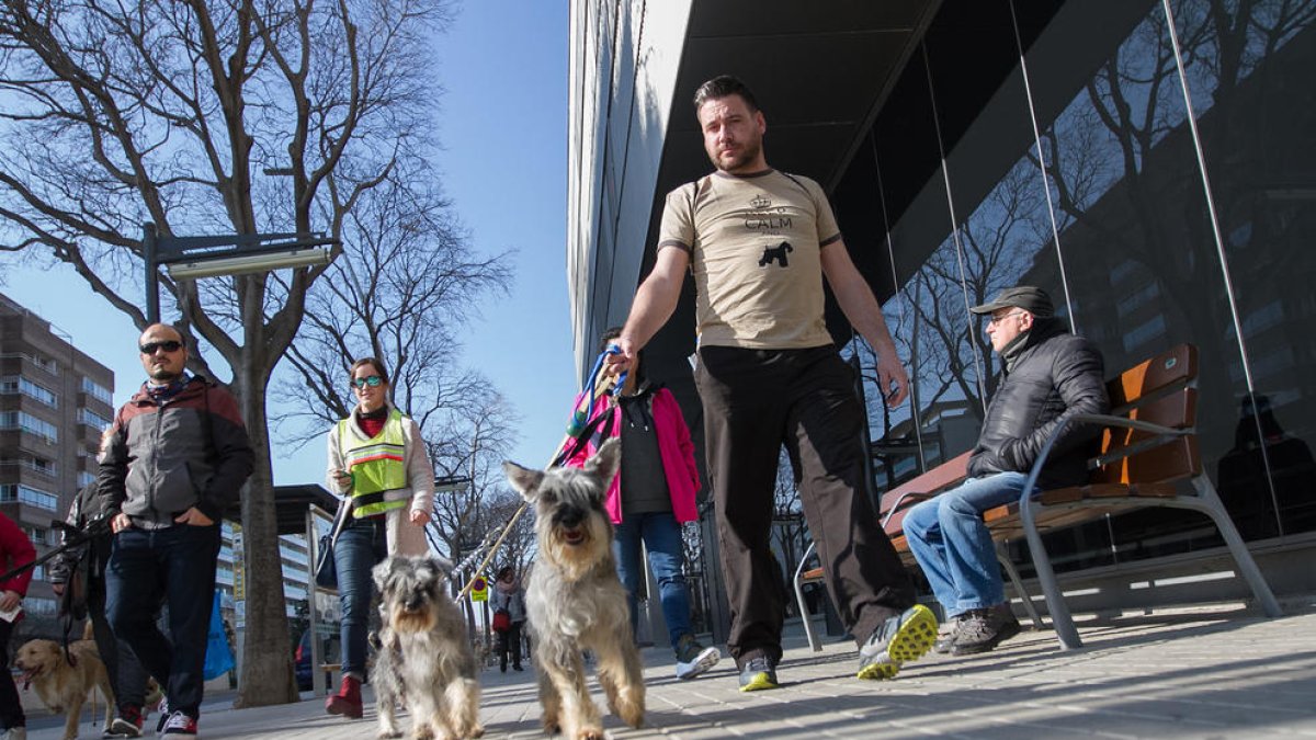 La futura ordenança d'animals passa per una consulta pública