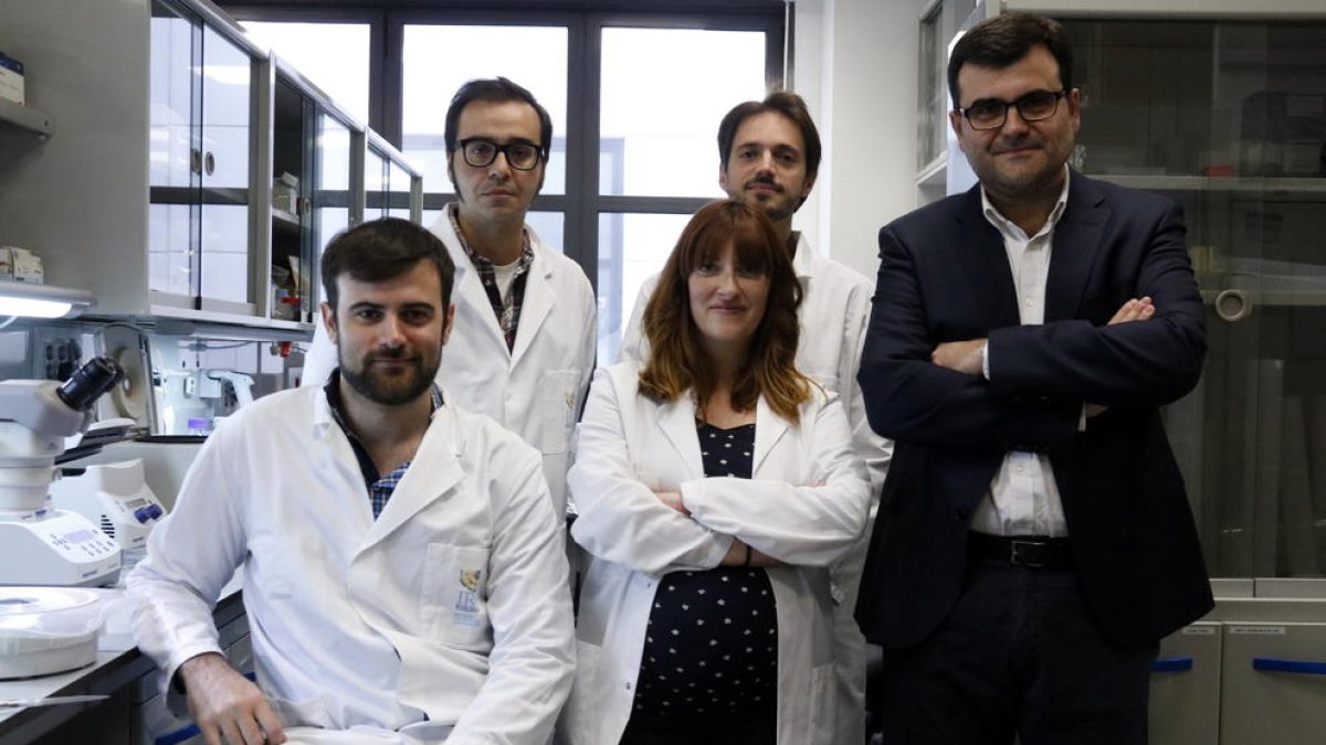 La immunoteràpia, una nova estratègia per millorar la prevenció del càncer de còlon