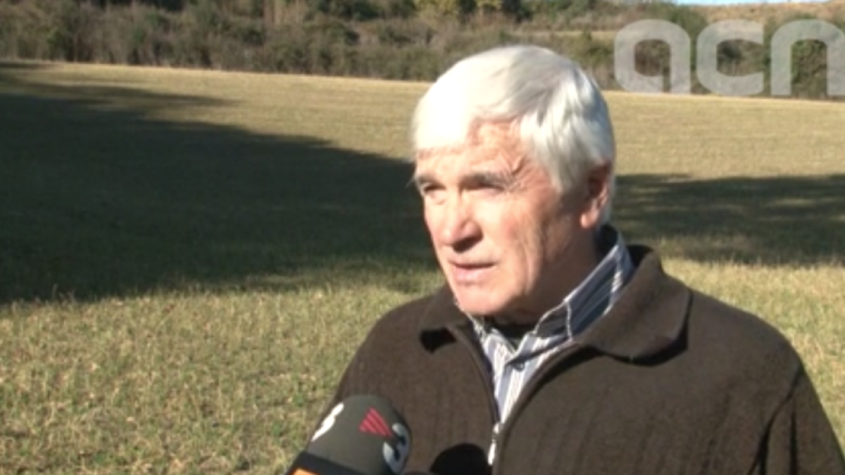 Un caçador gironí atacat per vespes asiàtiques: «Em vaig haver de refugiar al cotxe perquè me seguien i m'estaven picant»