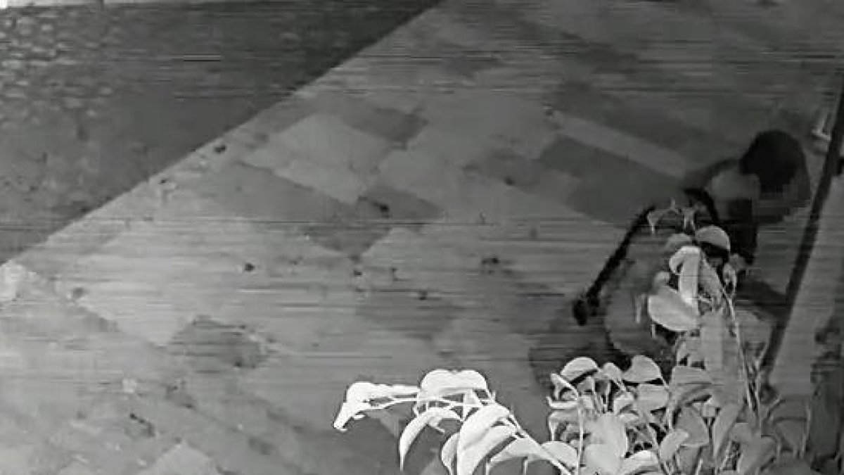 Detenido por hurtar dinero y móviles de empleados de una tienda y robar en un edificio de Reus