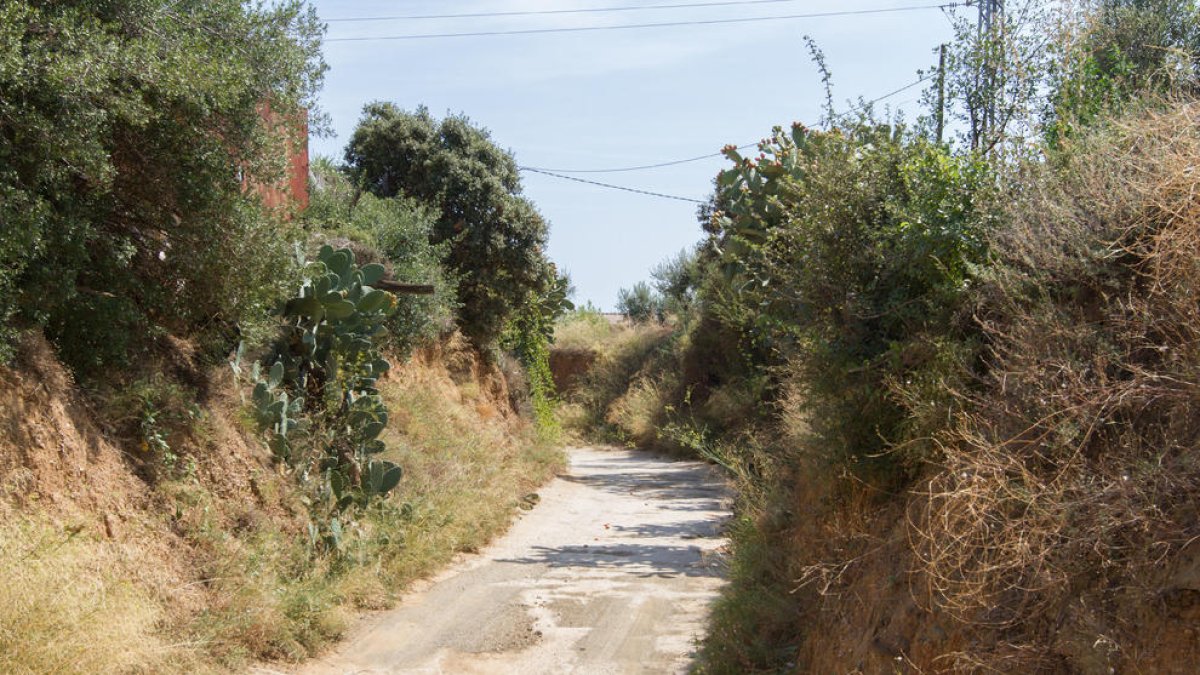 Unió de Pagesos considera 'il·legal' la taxa de vigilància de la Selva