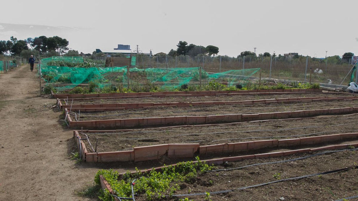Los barrios Sol i Vista y Gaudí de Reus entregan las licencias para cultivar 30 huertos urbanos
