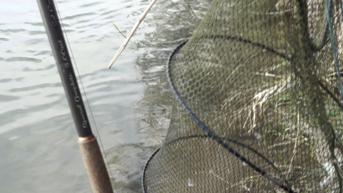 Los Agentes Rurales denuncian a cuatro pescadores en el Baix Ebre