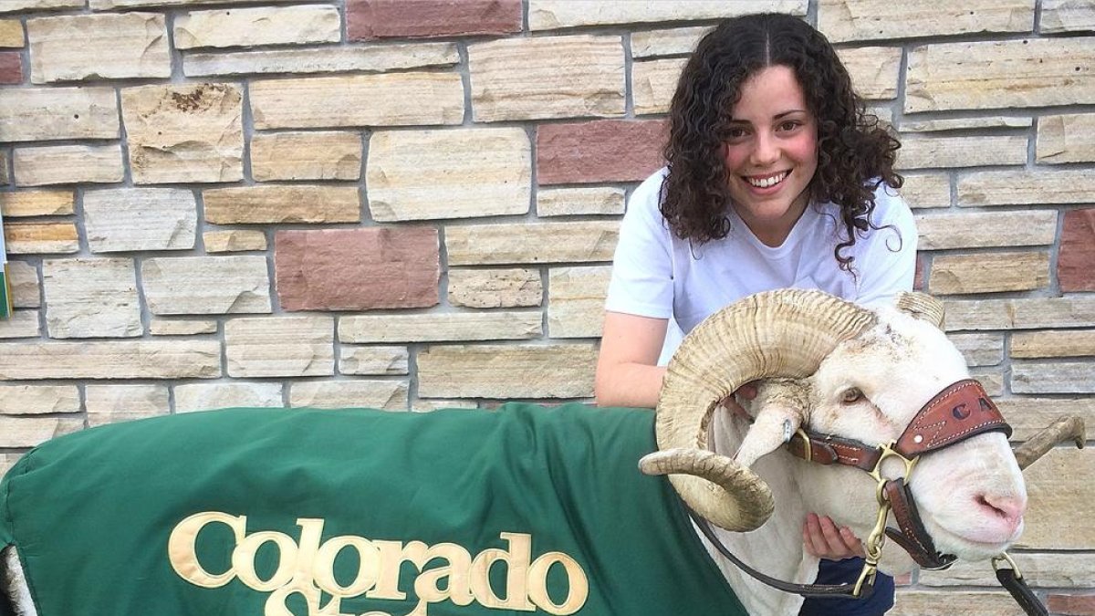 «Gent de tot el món et pregunta: 'Com està el tema de la independència?'»