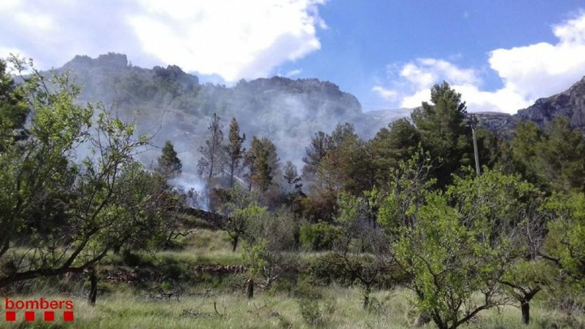 Queman 1.700 metros cuadrados de vegetación en Alfara de Carles
