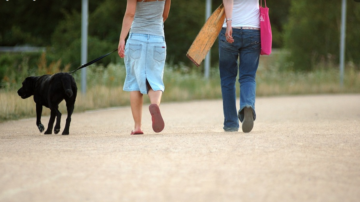 Cunit llença una campanya sobre la tinença responsable de mascotes