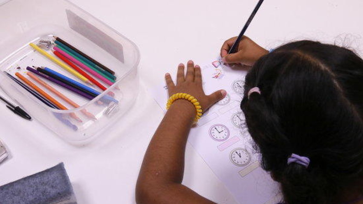 La preinscripción escolar para el próximo curso no prevé la casilla de castellano