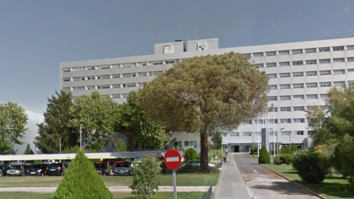 Dos octogenarios hospitalizados después de recibir más de 2.000 picaduras de un enjambre de abejas