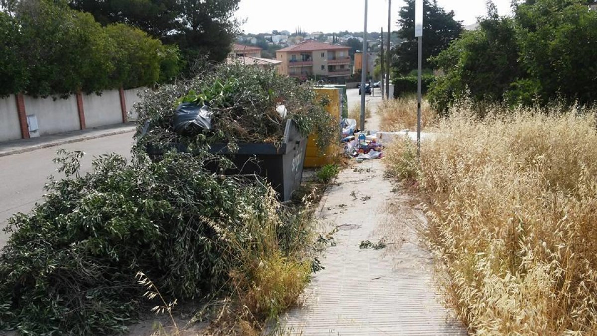 La Pobla de Montornès sufre continuos vertidos ilegales de poda