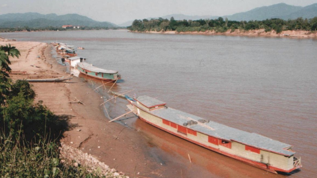 El consum excessiu de panga exposa a nivells de mercuri superiors als permesos