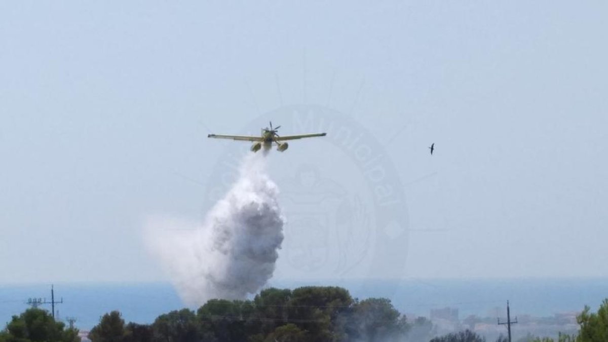 Incendio forestal en Bellvei
