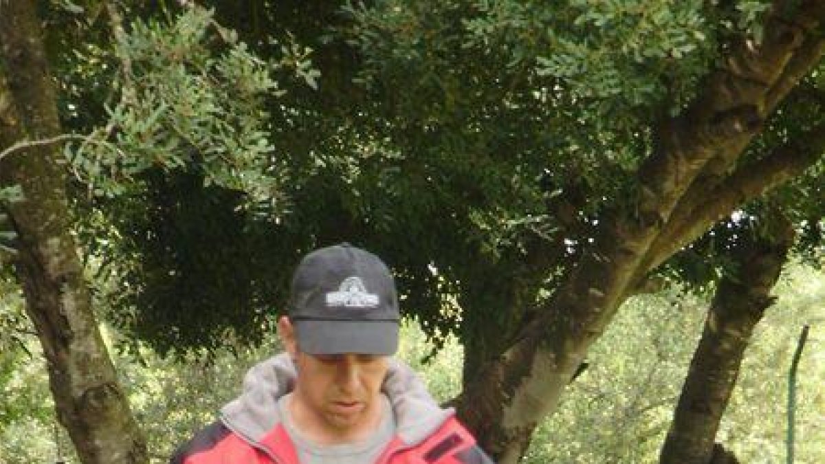 «Los problemas con los perros derivan del hecho que se les trata como humanos»