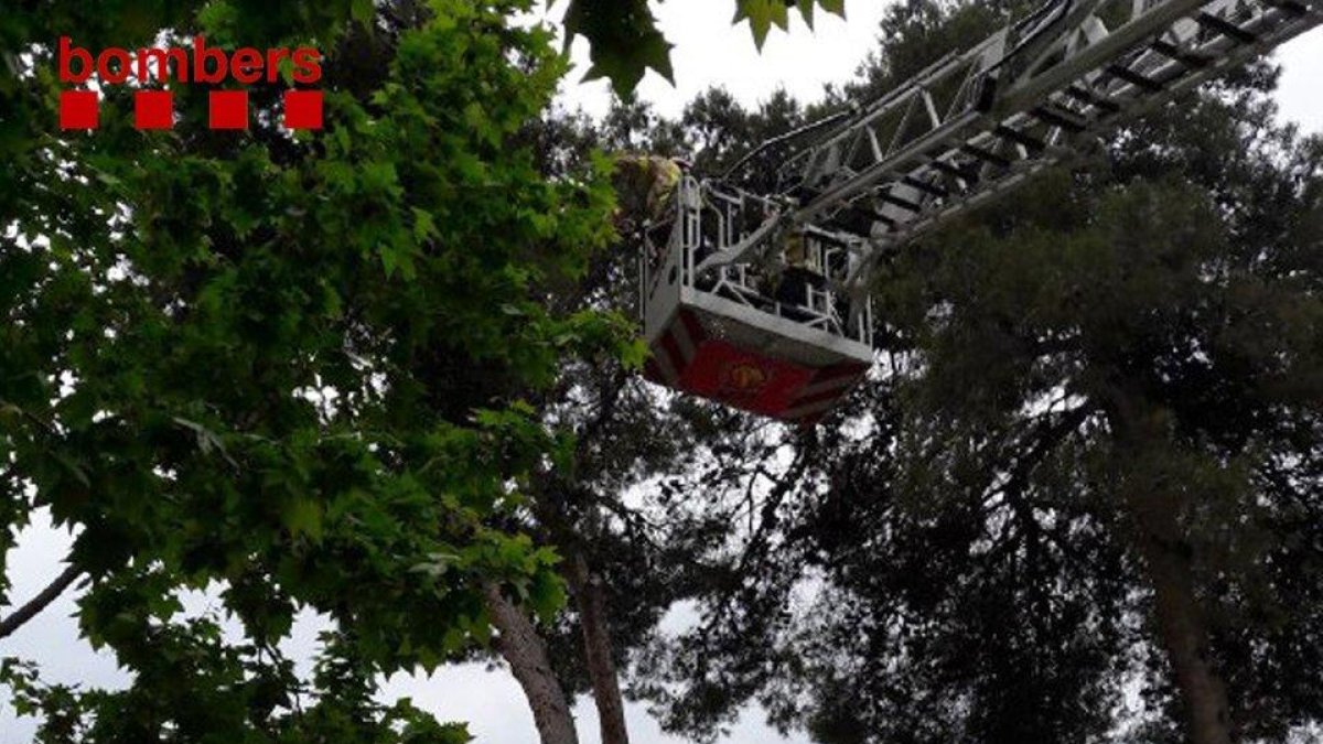 Els Bombers eviten un ensurt a Salou