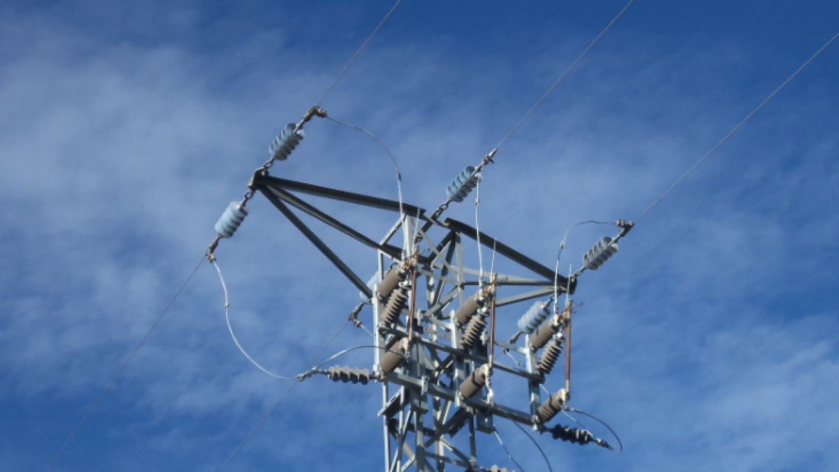 Endesa instala protecciones para la avifauna a las líneas eléctricas de la Conca de Barberà y el Alt Camp