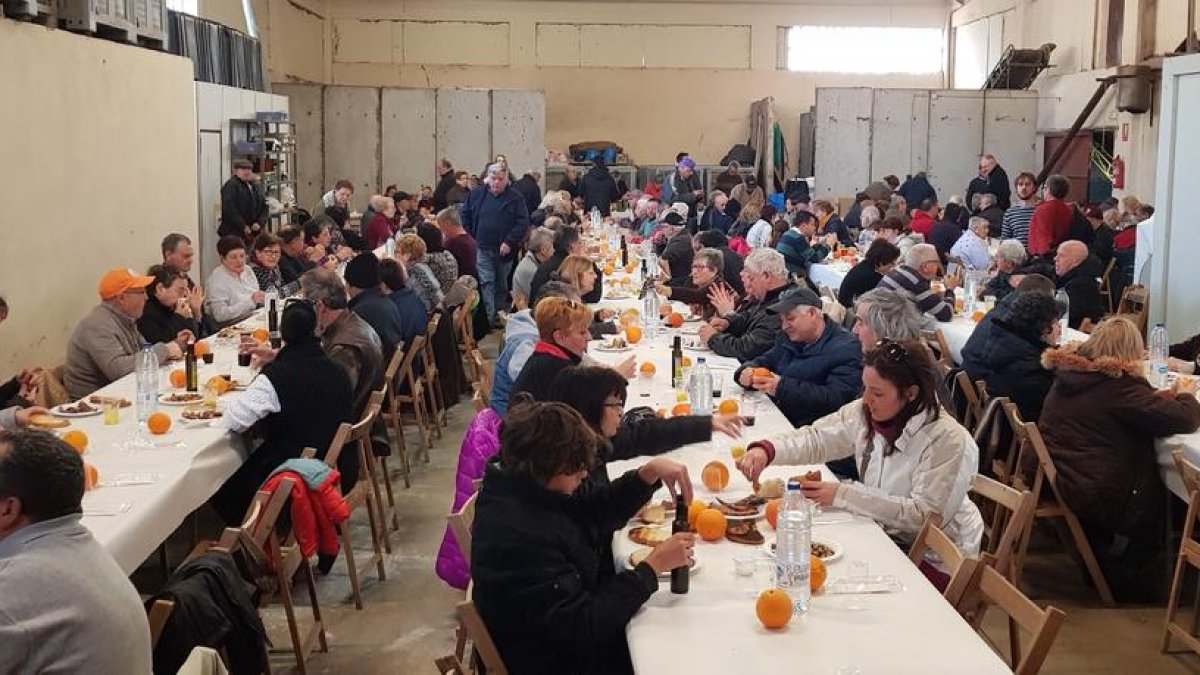 Cerca de 300 participantes en la XIV Festa de l'Oli Nou de Vandellòs