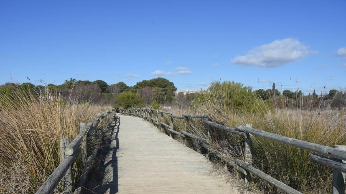 Torredembarra millorarà l'Espai d'Interès Natural dels Muntanyans
