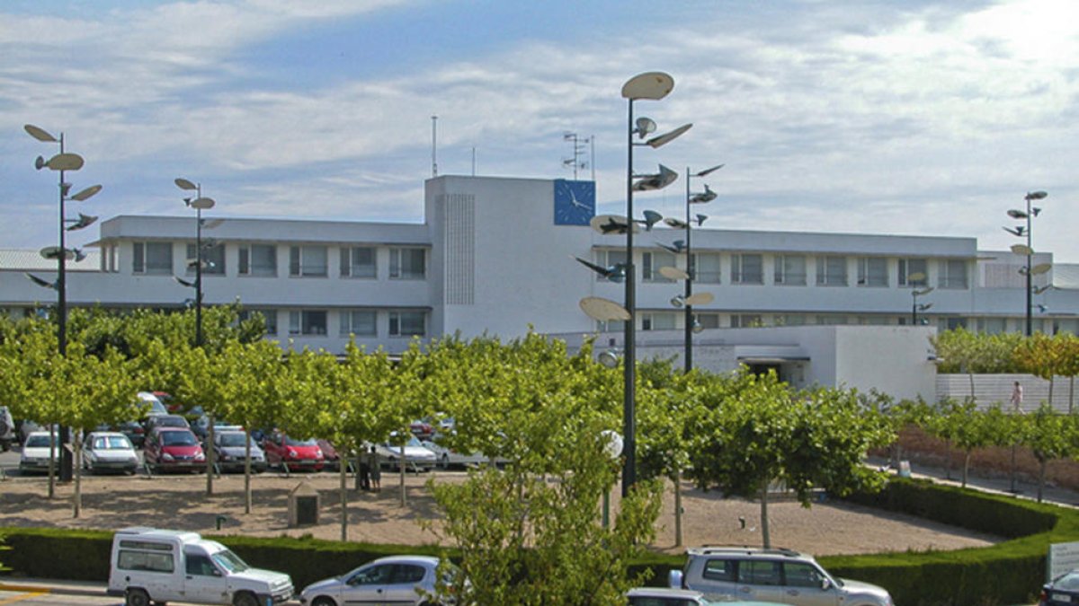 Cinc gossos d'un caçador ataquen a un ciclista i el deixen en greu estat de salut