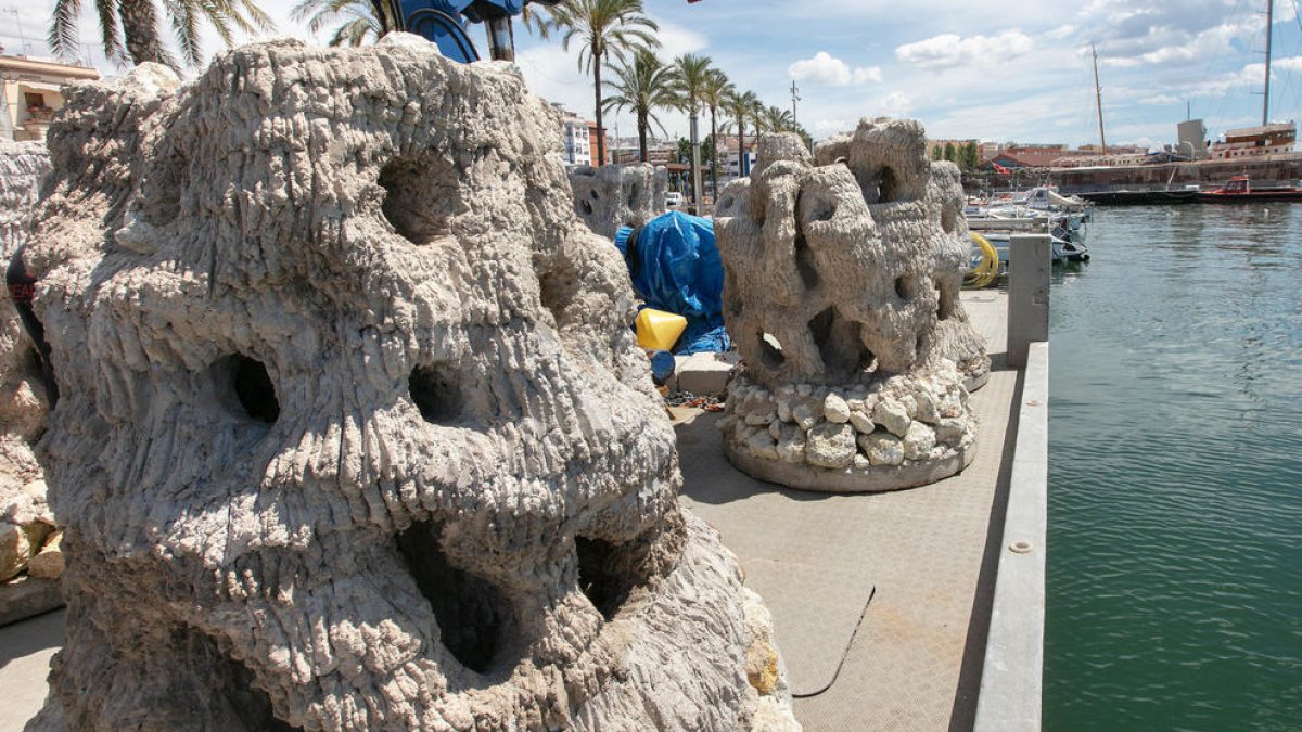 Repsol instal·la 17 biòtops artificials al litoral de Tarragona i Altafulla