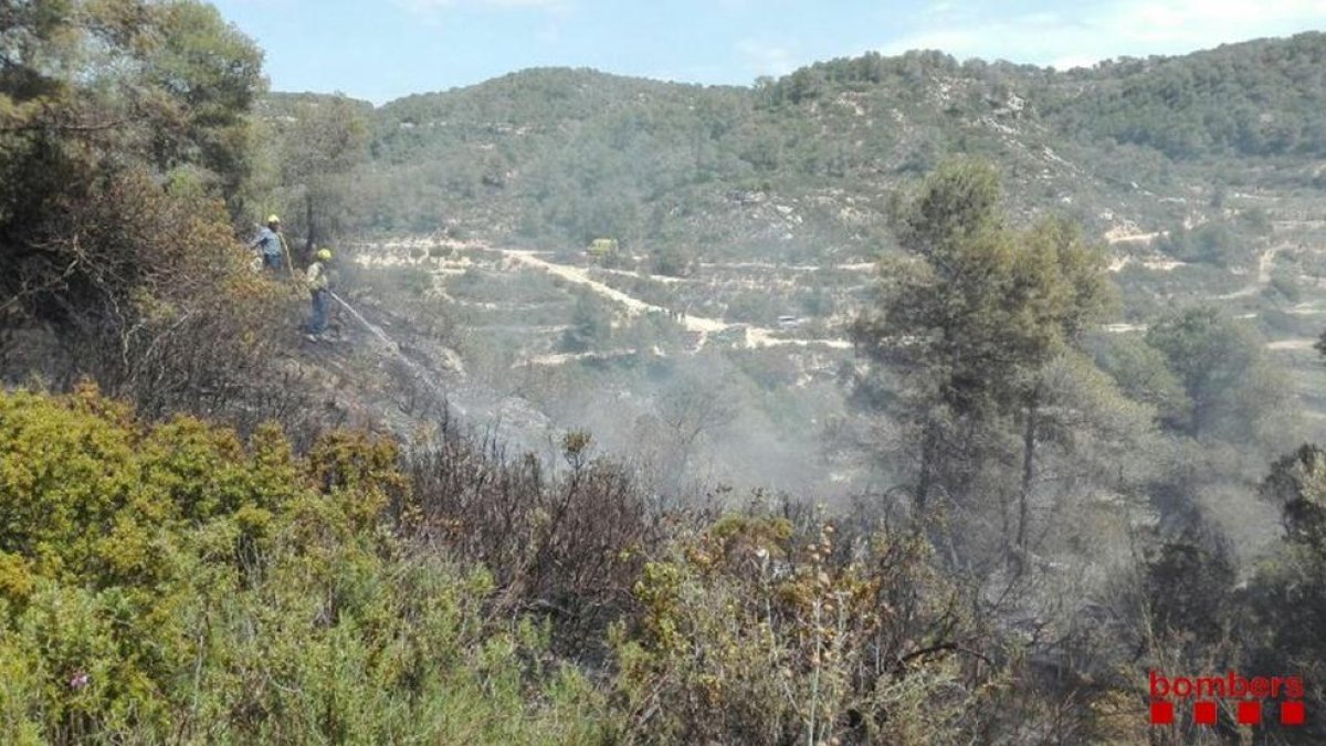 Un incendio quema una zona boscosa en Batea