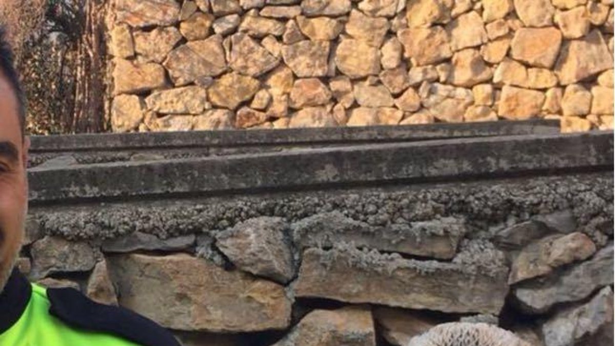 La Guàrdia Urbana rescata una àguila calçada ferida