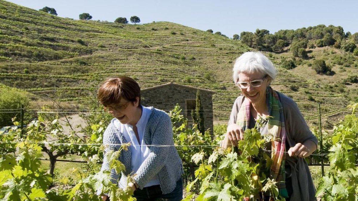Tenir cura de la pell amb un bocí del Priorat