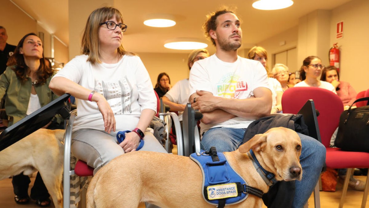 Adiestran el primer perro de asistencia para ayudar personas con esclerosis