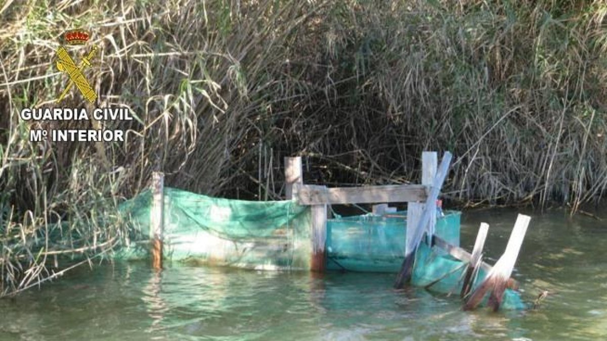 Intervenen quatre 'bussons' per la capturafurtiva d'angula a l'Ebre
