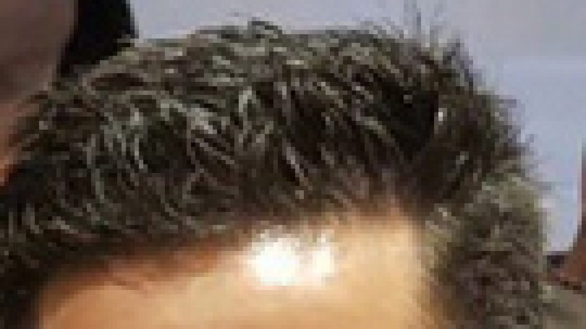 Jordi Guillén, nuevo director del fútbol base del Nàstic