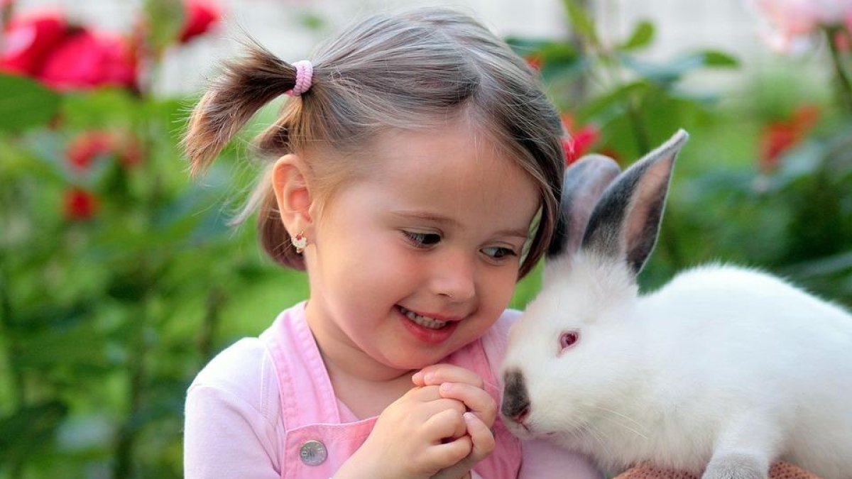 ¿Tu conejo se ha quedado inmóvil, relax o estrés?