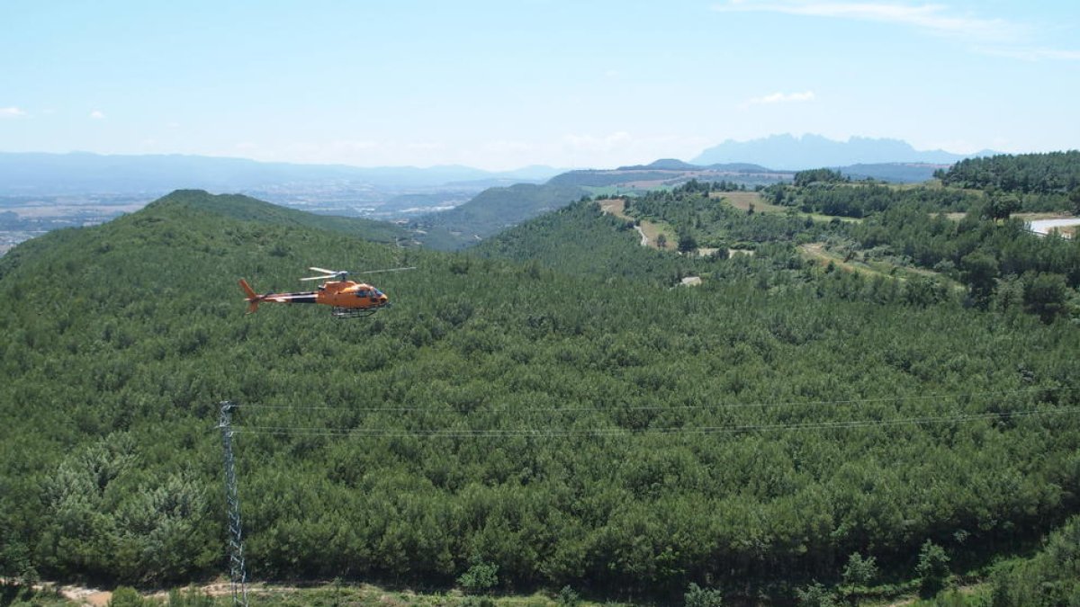 Endesa destina 3,6 MEUR para la limpieza y protección de bosques de la demarcación