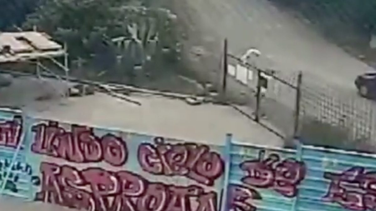 Investiguen la mort d'un gos que va ser llançat per sobre de la reixa d'una protectora