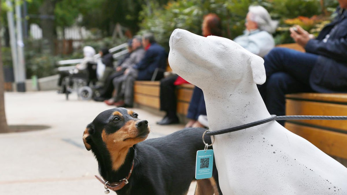 Perros de cemento por las calles de Barcelona para promover la adopción de perros abandonados