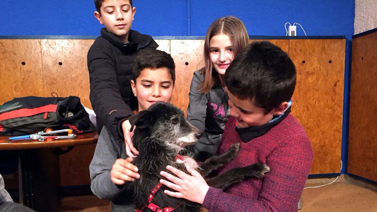 L'Última Llar imparteix un taller de tinença responsable d'animal a una cinquantena d'alumnes