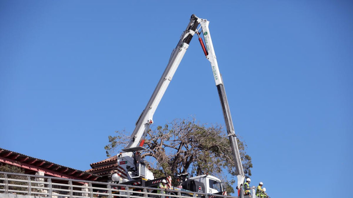 El Vial Bryant ha de ser reparat per corregir l'acció corrosiva del mar