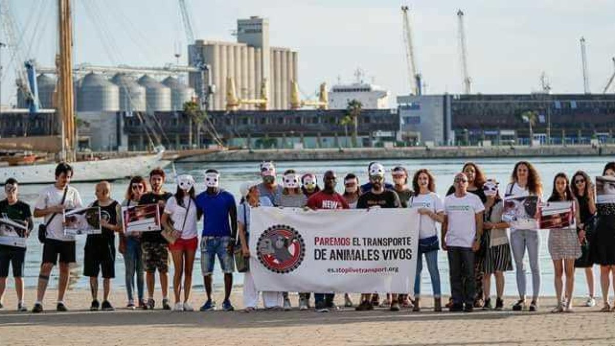 Miembros de asociaciones animalistas se concentran en contra del transporte de animales vivos en el Puerto de Tarragona